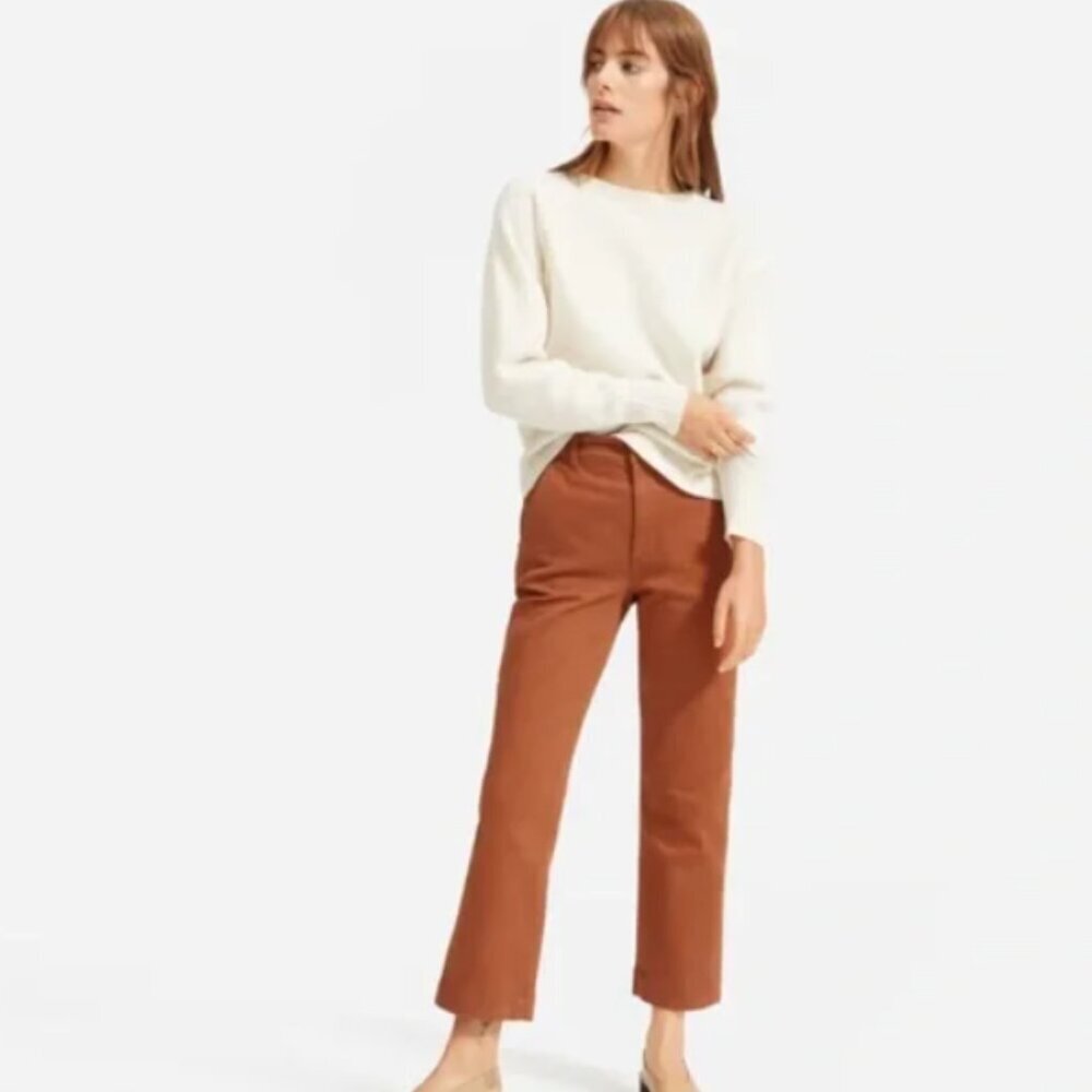 EVERLANE Straight Leg Crop Pants Brown Size 8